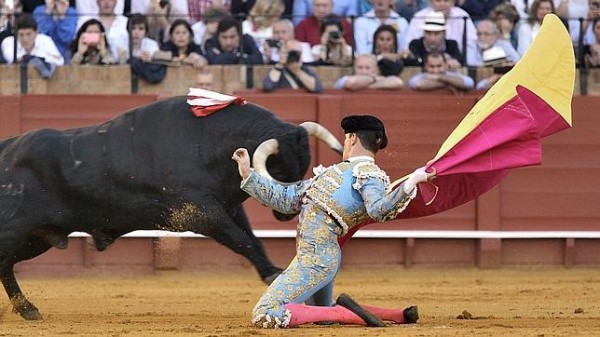 Manzanares recibiendo al toro a "porta gayola"