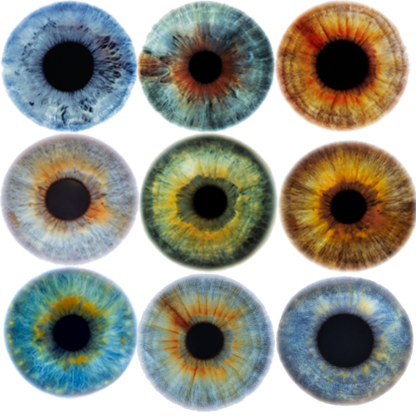 Color de iris